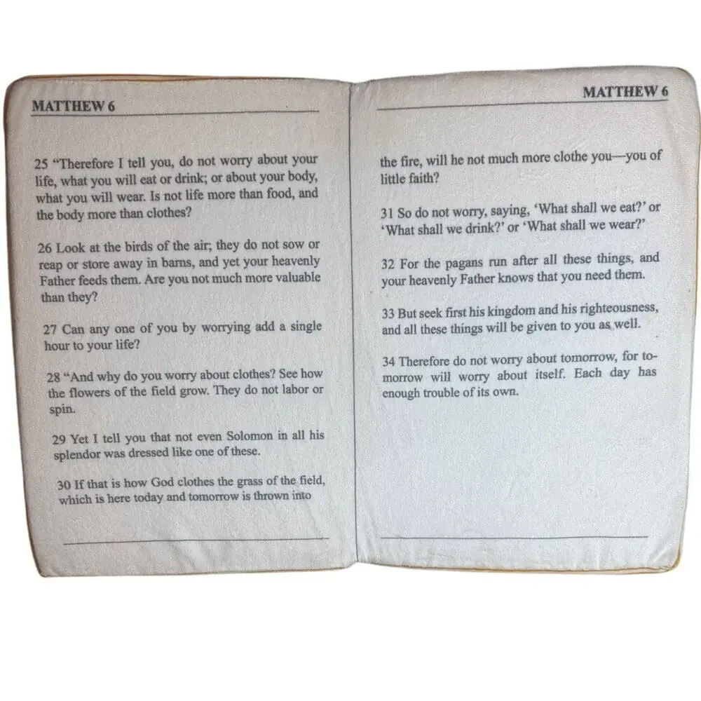 Feta Bible Pillow Matthew 6:25-34